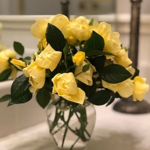 Meet your Posher, Dianne